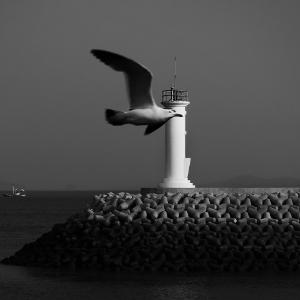 15. 석모도 어류정항